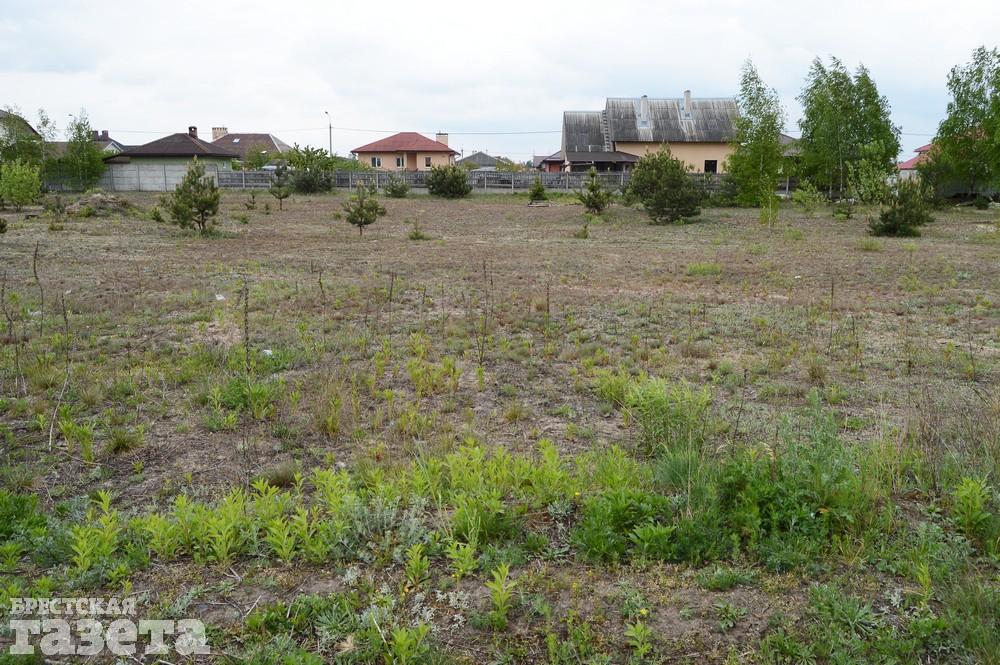Как сейчас выглядит место в Бресте, где собираются строить «Скандинавское предместье». Фото: