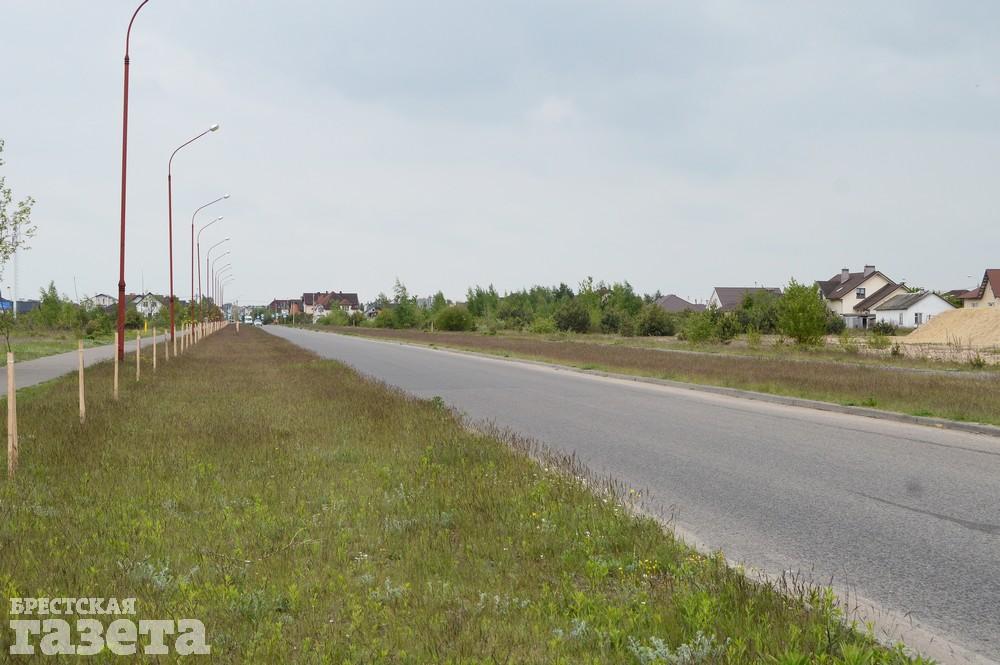 Как сейчас выглядит место в Бресте, где собираются строить «Скандинавское предместье». Фото: