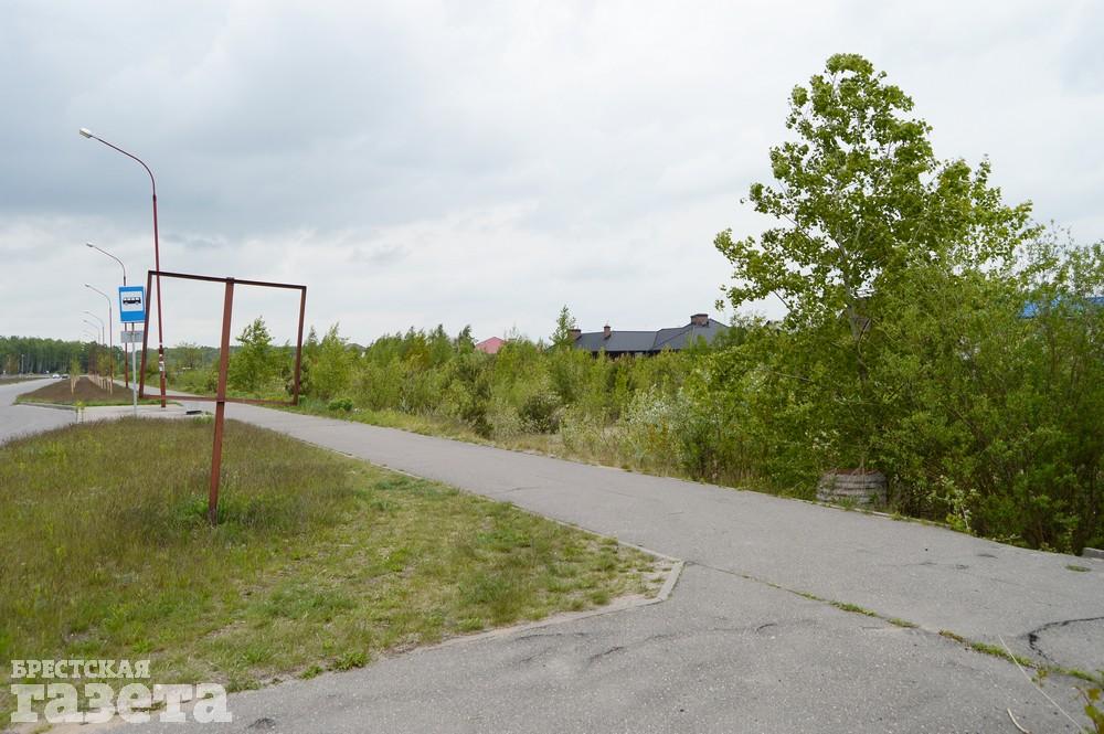 Как сейчас выглядит место в Бресте, где собираются строить «Скандинавское предместье». Фото: