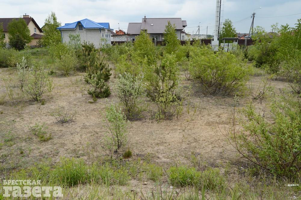 Как сейчас выглядит место в Бресте, где собираются строить «Скандинавское предместье». Фото: