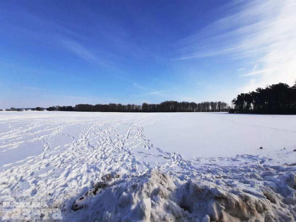 Зубриные следы. Фото: "Брестская газета"