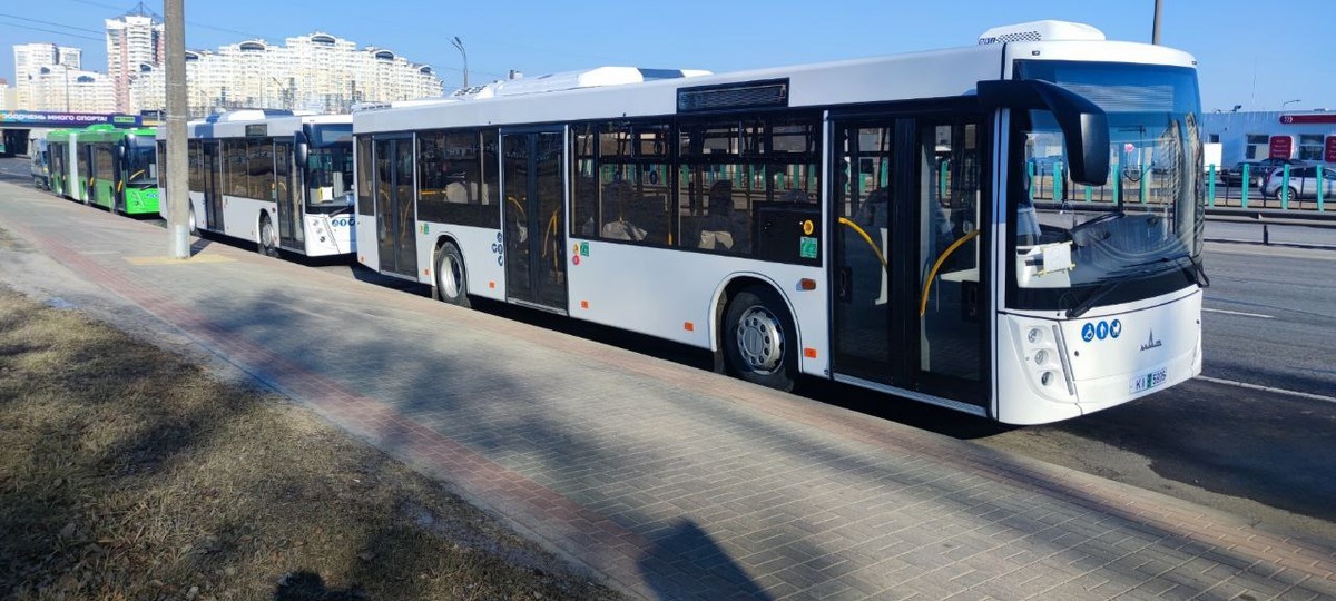 Новые автобусы МАЗ в Бресте в марте 2025 года. Фото: Брестский горисполком