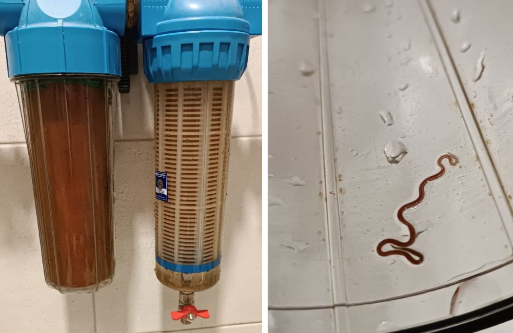 Состояние фильтров для воды в квартире по ул. Светлой в Бресте. Фото: Телеграм.