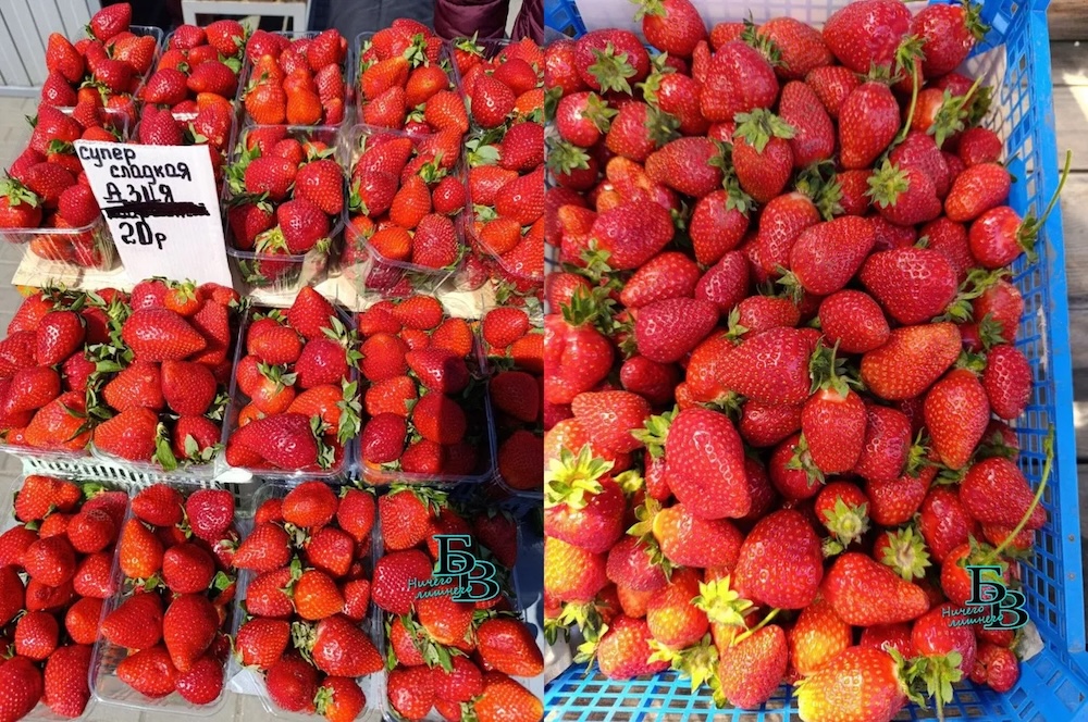Клубника на Брестском центральном рынке. май 2025 год. Фото: «Брестский вестник».
