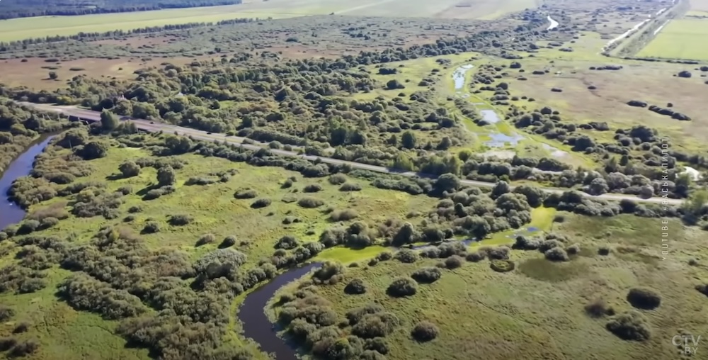Состояние рек в Брестской области. Скриншот с сюжета СТВ.