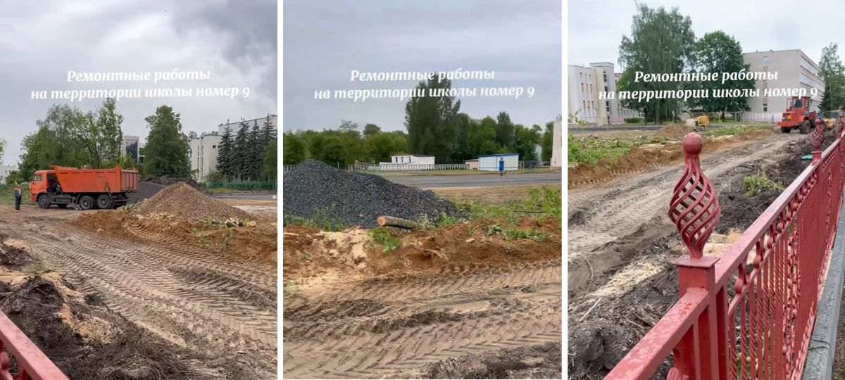 В Бресте в СШ №9 спилили деревья. Коллаж BGmedia из скриншотов видео