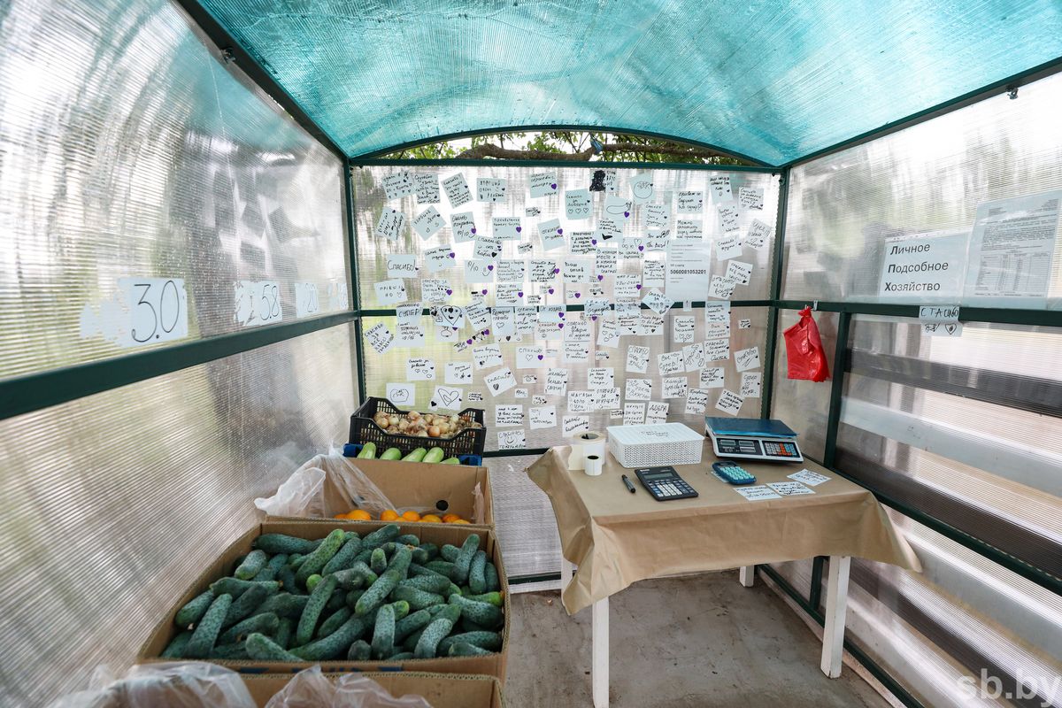 Магазин самообслуживания в деревне Ракитно Лунинецкого района, Брестская область.