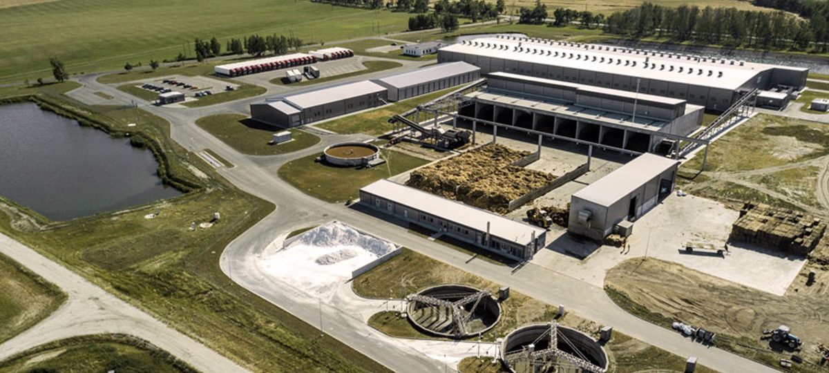 завод, кобрын, кампосты, шампіньёны