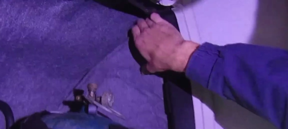 Брестские таможенники достают луковицы тюльпанов из грузовика. Скриншот видео ГТК