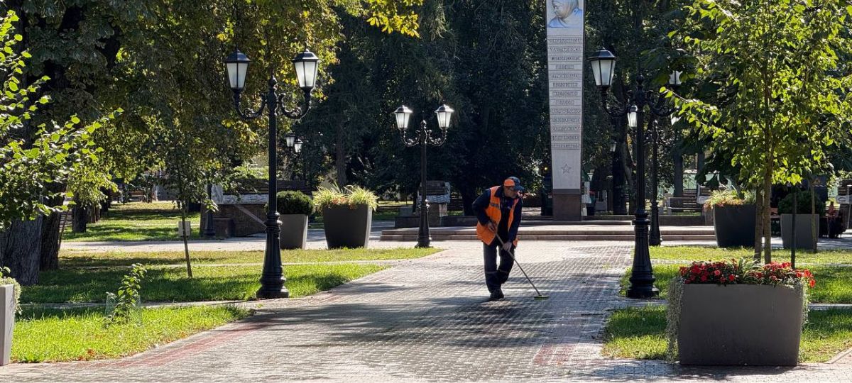 Площадь Свободы, Брест, уборка, птицы