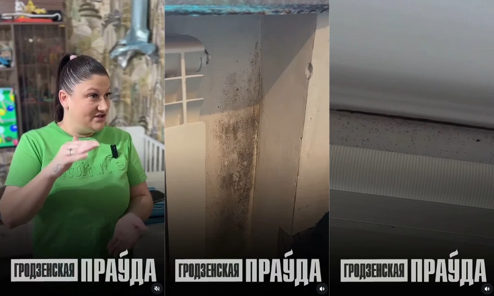 плесень под батареей 