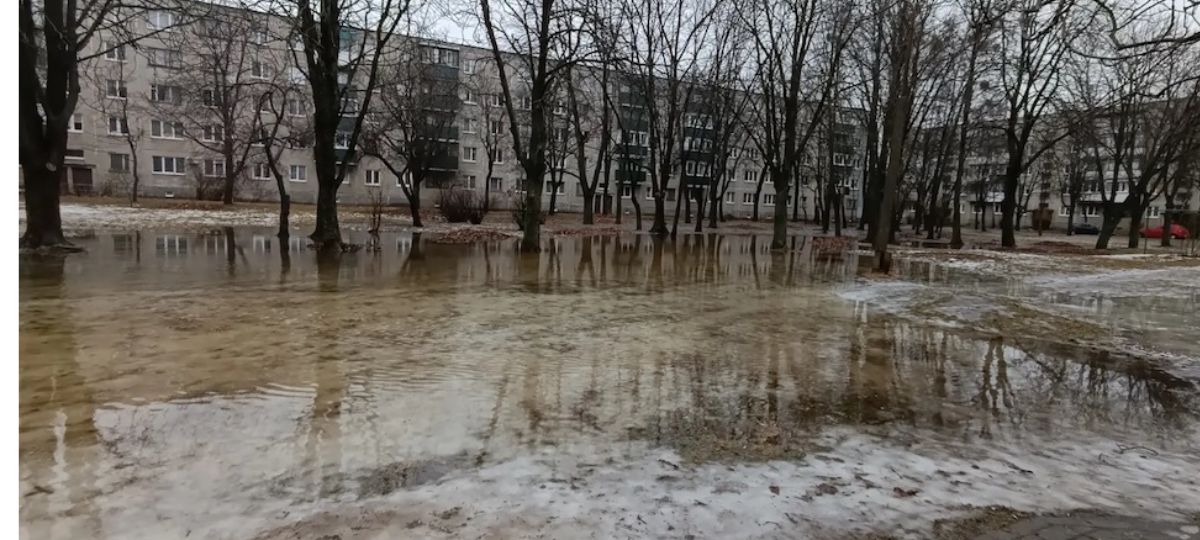 Потоп, потепление. Брест