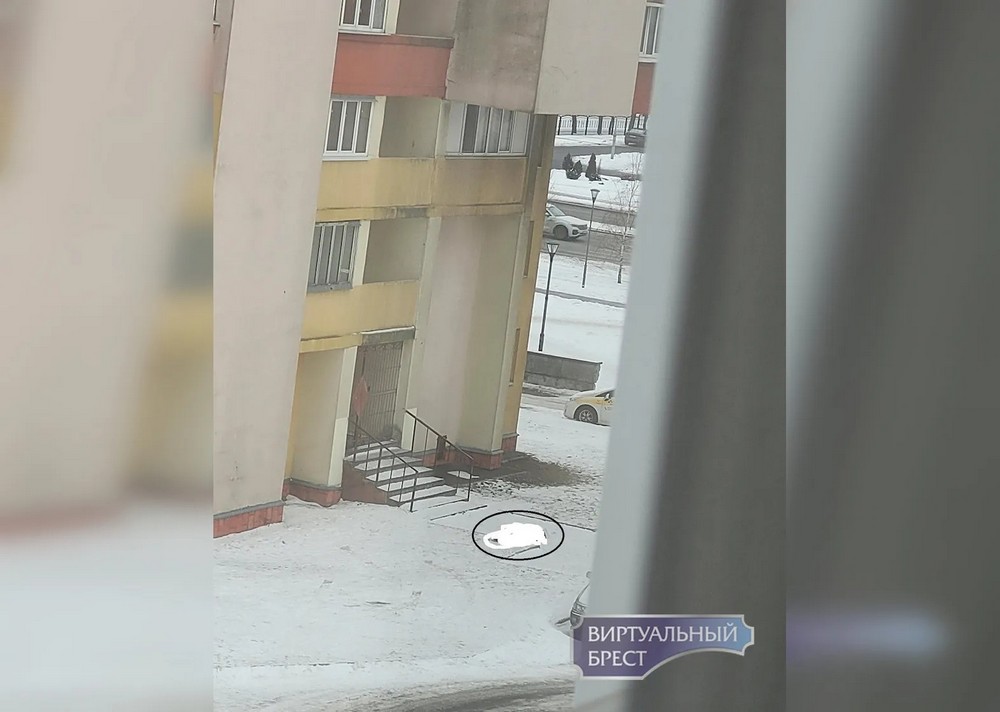 Тело человека возле подъезда 20-этажки в Бресте