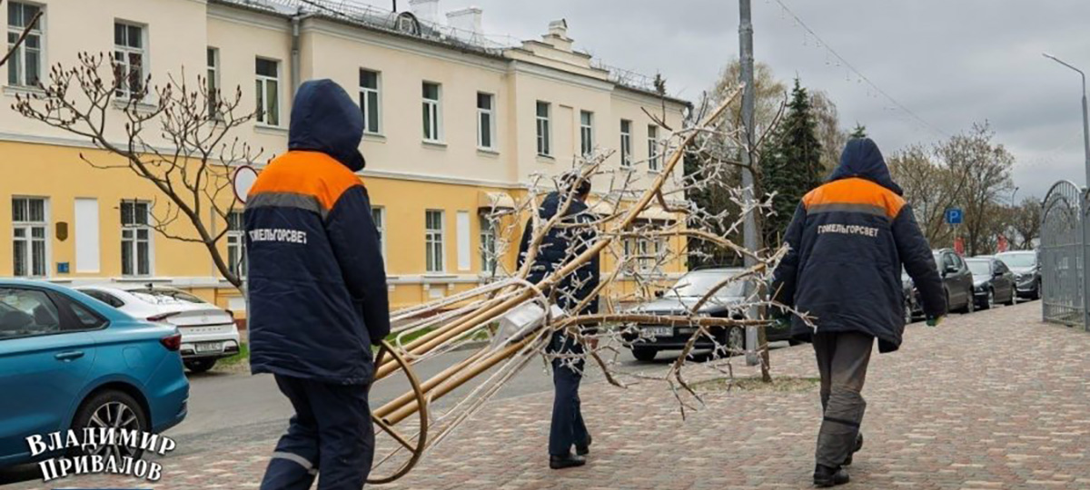 коммунальники выносят деревья