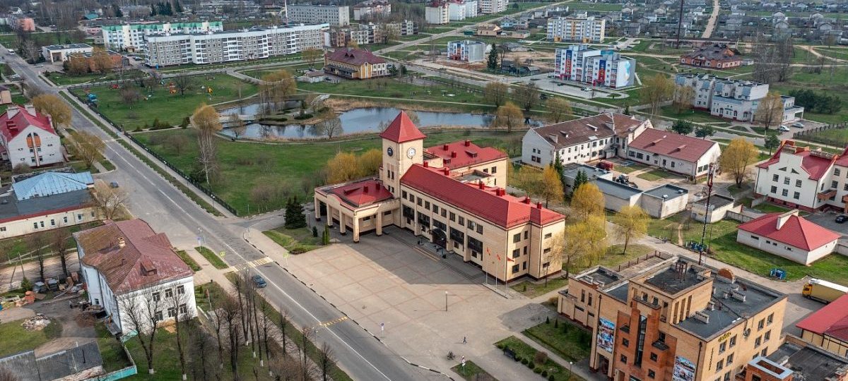 Дрибинский район