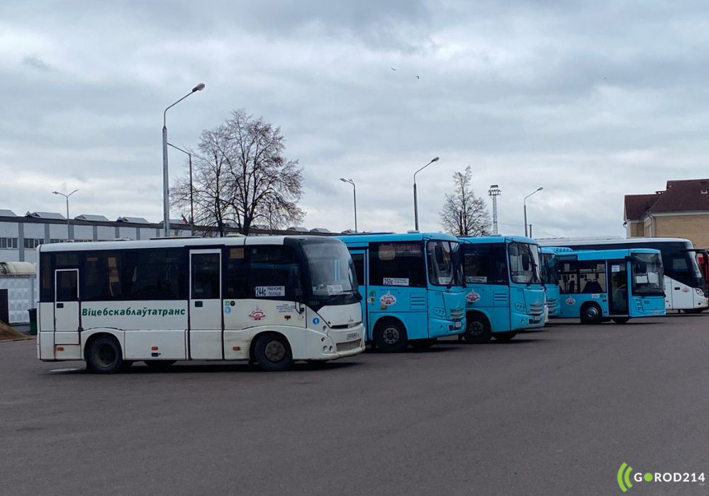 Автобусы малой вместительности в Полоцке