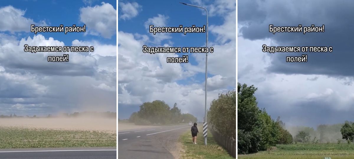 Песчаные бури в деревне Малая Курница под Брестом. Коллаж BGmedia